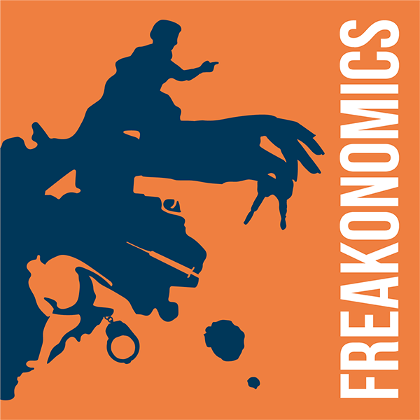 picture of Freakonomics project